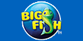 Big Fish Games