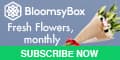 BloomsyBox