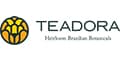 Teadora