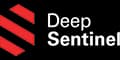 Deep Sentinel Home Security